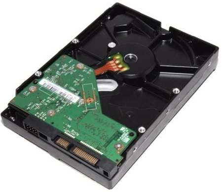 HDD WD Blue 1TB 7200rpm - Ảnh 4